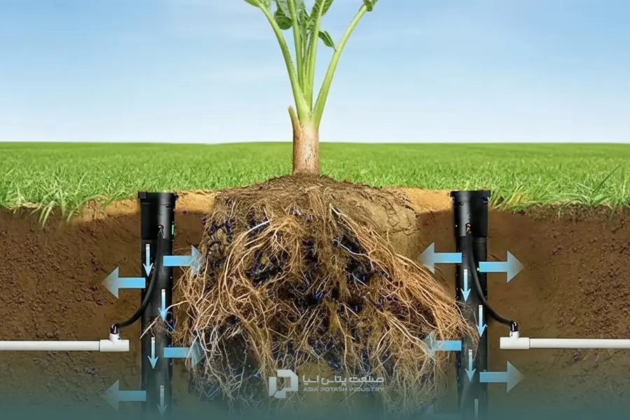 کوددهی در آبیاری زیرسطحی یکی از مدرن‌ترین و بهینه‌ترین روش‌های کوددهی در کشاورزی امروزی است.