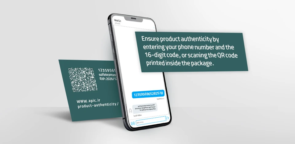 Sample code for submission: