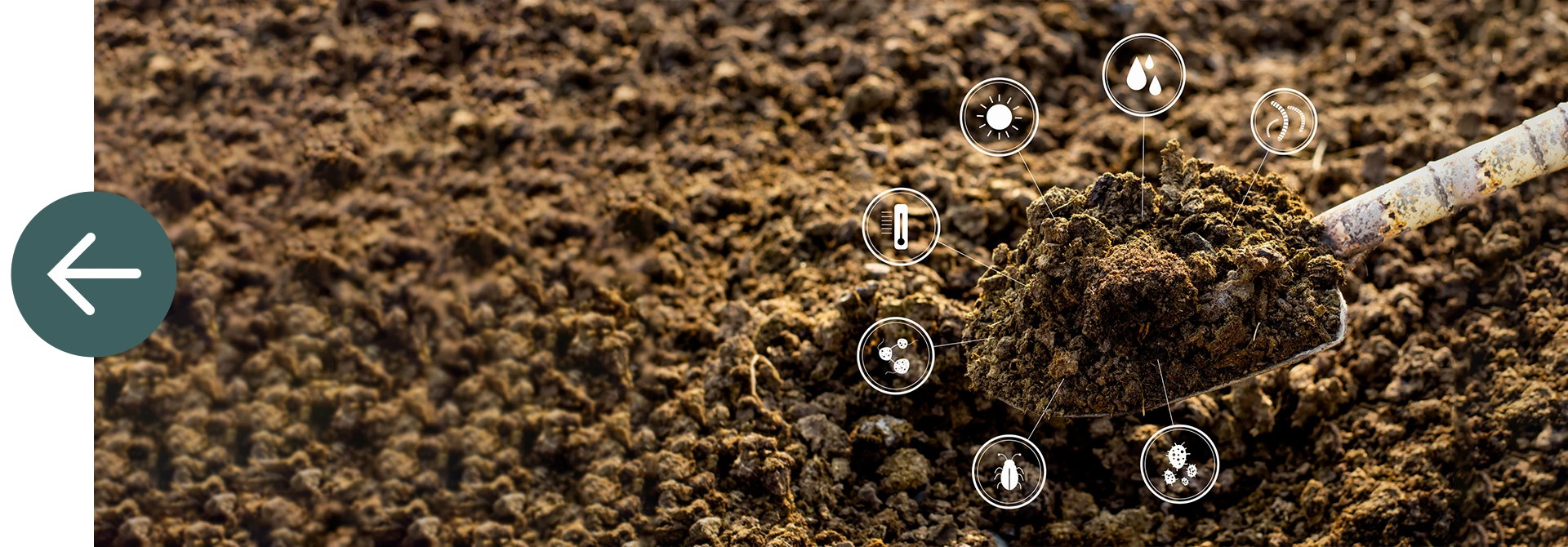 gallery-header.png
